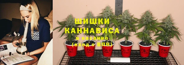мет Аркадак