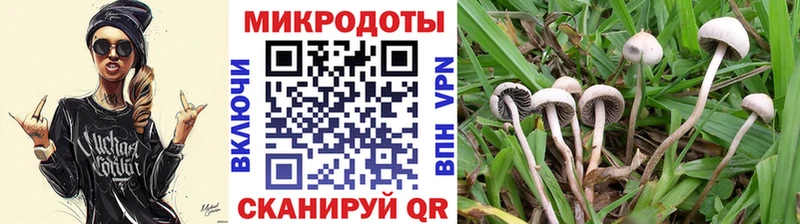 blacksprut ССЫЛКА  Бавлы  Псилоцибиновые грибы Magic Shrooms 